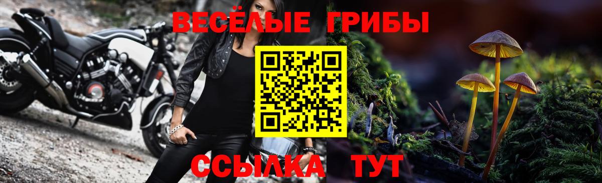 Сочи  Псилоцибиновые грибы ЛСД  Вход с VPN 